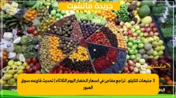 3 جنيهات للكيلو.. تراجع مفاجئ في أسعار الخضار اليوم الثلاثاء تحديث قائمة سوق العبور 1